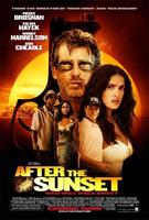 日落之后After the Sunset (2004)