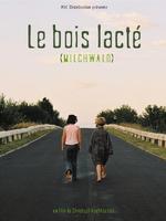 就在此刻Milchwald (2003)
