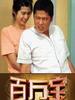 百万宝(2006)