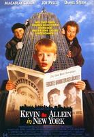 小鬼当家2Home Alone 2: Lost in New York (1992)