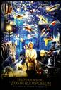 马格瑞姆的玩具店/Mr. Magorium's Wonder Emporium(2007)