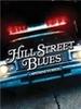 希尔街的布鲁斯/Hill Street Blues(1981)