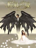 福气又安康Easy Fortune Happy Life (2009)