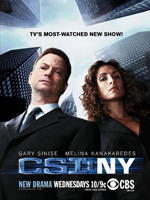 犯罪现场调查：纽约CSI: NY (2004)