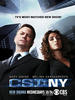 犯罪现场调查：纽约/CSI: NY(2004)