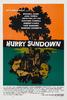 田野泪/Hurry Sundown(1967)