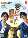 鹿男与美丽的奈良/Shika otoko aoniyoshi(2008)