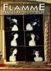 心中的烈火/Une flamme dans mon coeur(1987)