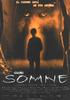 Somne(2005)