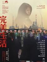 完美生活Perfect Life (2008)