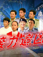 接力追凶Jie Li Zhui Xiong (2005)