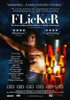 闪光Flicker (2008)