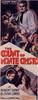 基度山恩仇记/The Count of Monte Cristo