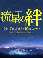 流星之绊Ryusei no kizuna (2008)