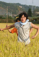 猪和莎士比亚Pig And Shakespeare (2007)
