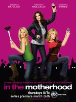 母爱之道In the Motherhood (2009)