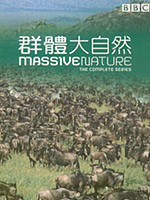群体大自然Massive Nature (2004)