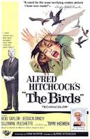 群鸟The Birds (1963)