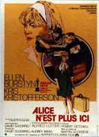 再见爱丽斯Alice Doesn't Live Here Anymore (1974)