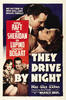 卡车斗士/They Drive by Night