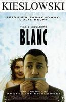 蓝白红三部曲之白Trois couleurs: Blanc (1994)