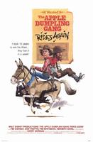 三小福闯金关续集The Apple Dumpling Gang Rides Again (1979)