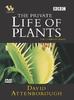 植物私生活/The Private Life of Plants