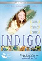 天赋异灵Indigo (2003)