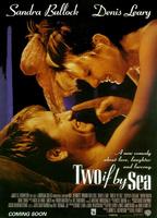 爱情失窃事件/Two If by Sea(1996)
