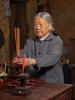 红豆杉Chinese Yew(2007)