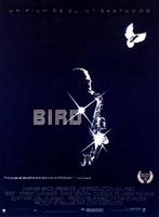 小鸟Bird (1988)