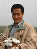 棉花儿盛开(2006)