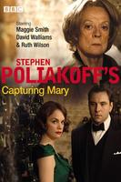 俘虏玛丽Capturing Mary (2007)