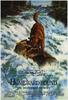 猫狗也疯狂/Homeward Bound: The Incredible Journey