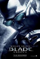 刀锋战士3Blade: Trinity (2004)