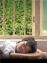 马乌甲Ma Wu Jia (2006)