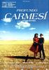 深深的腥红/Profundo carmesí