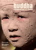 佛在耻辱中倒塌/Buda as sharm foru rikht(2007)