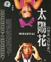 太阳花/Tai Yang Hua(2006)