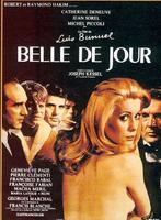 白日美人Belle de jour (1967)