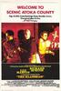 三K党徒/The Klansman(1974)