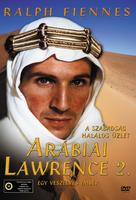 一个危险的男人：阿拉伯后的劳伦斯A Dangerous Man: Lawrence After Arabia (1990)