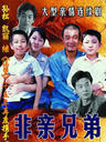 非亲兄弟(2006)