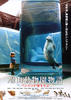 旭山动物园物语/Penguins in the Sky-Asahiyama Zoo(2009)