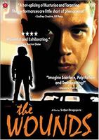那年伤口特别多Rane (1998)