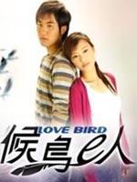 候鸟e人Love Bird (2004)