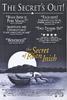 人鱼传说/The Secret of Roan Inish