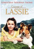 战火历险记Courage of Lassie (1946)