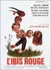 Ibis rouge, L'