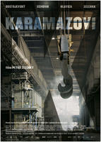 卡拉马佐夫兄弟Karamazovi (2008)